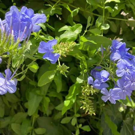 Dielino Amazing Sunset View * Pentátion