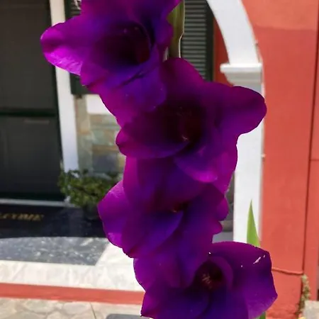 公寓 Dielino Amazing Sunset View *